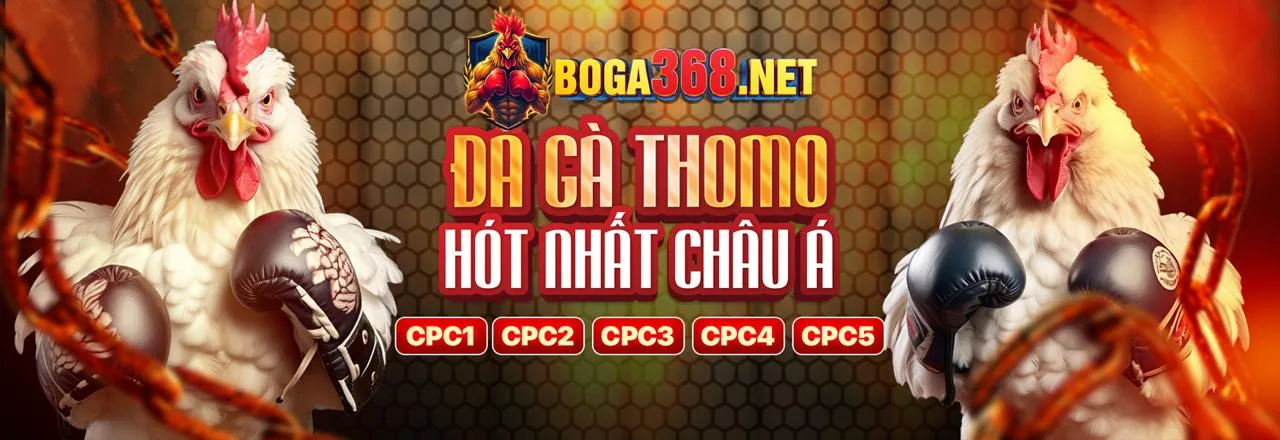 Hướng dẫn đăng ký và giao dịch tại gavip68 nhà cái
